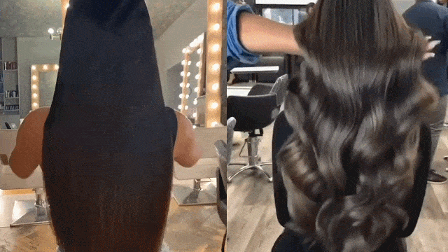 zfq_11.gif