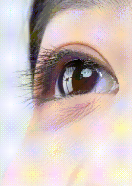6.gif