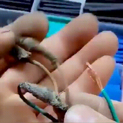 动1.gif