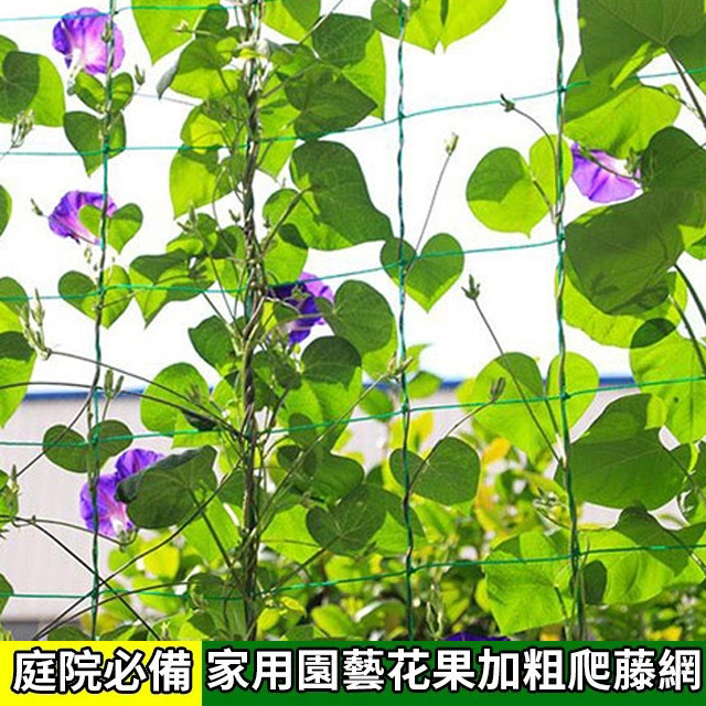 【庭院首選】家用園藝花果加粗爬藤網