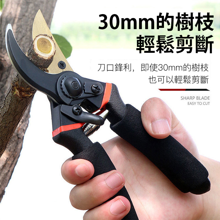 SK5鋼金鷹嘴樹枝剪