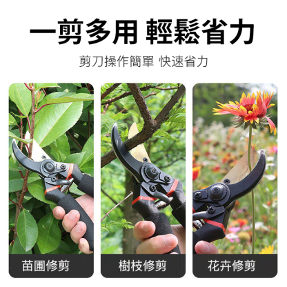 SK5鋼金鷹嘴樹枝剪