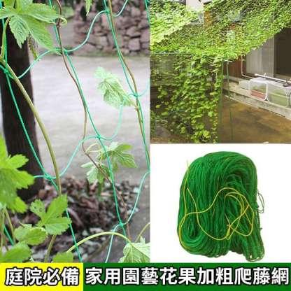 【庭院首選】家用園藝花果加粗爬藤網