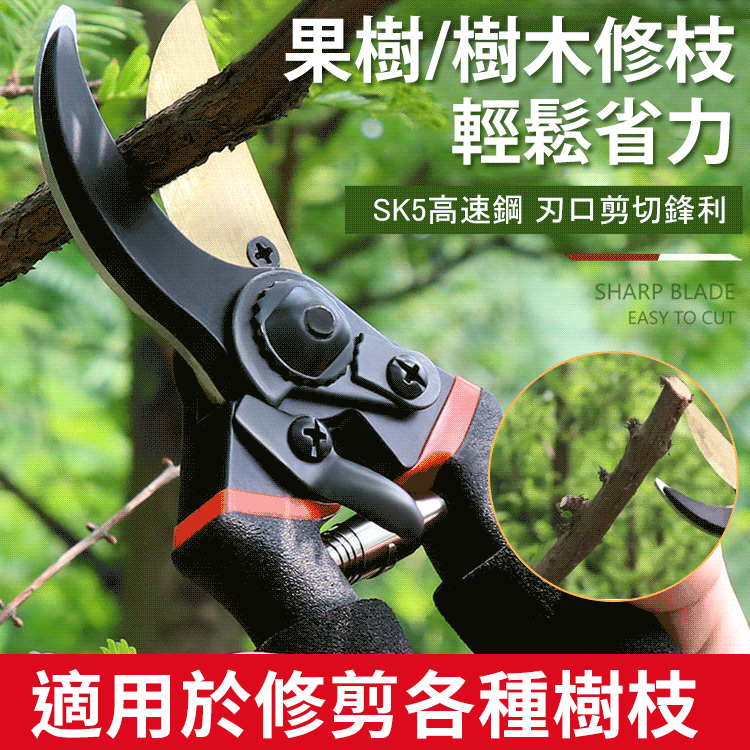 SK5鋼金鷹嘴樹枝剪