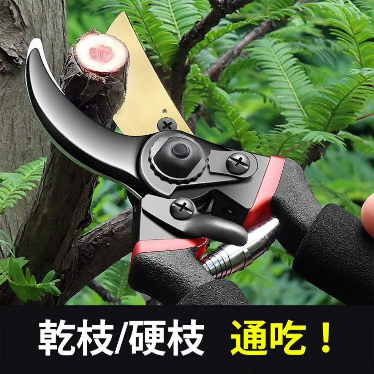 SK5鋼金鷹嘴樹枝剪