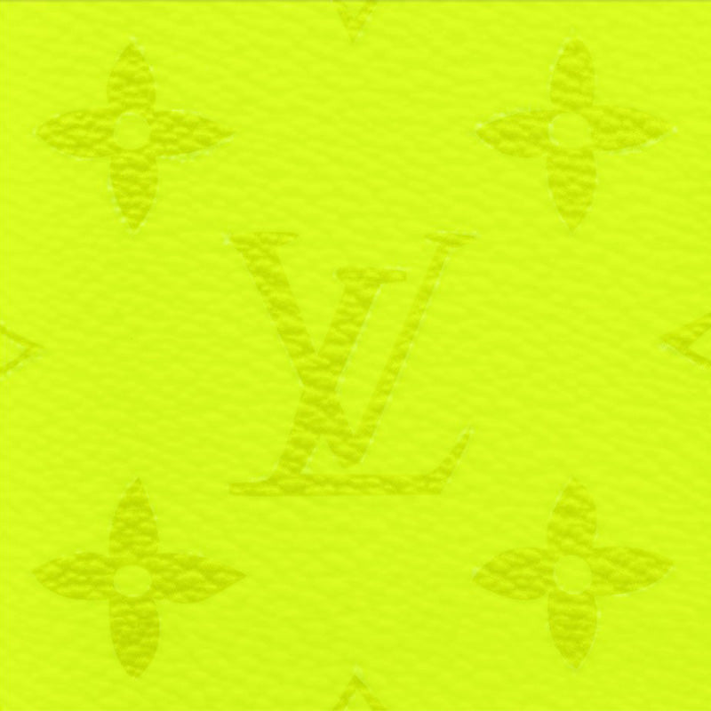 LOUIS VUITTON オーガナイザー・ドゥ ポッシュ Ref:M30949-LOUIS VUITTON 