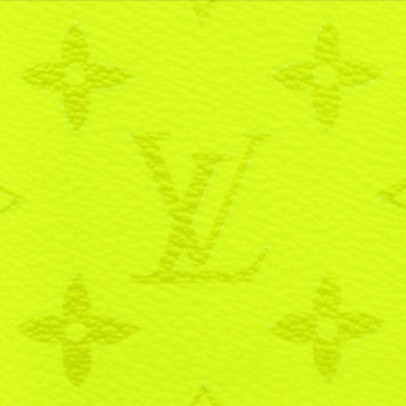 LOUIS VUITTON オーガナイザー・ドゥ ポッシュ Ref:M30949-LOUIS VUITTON 