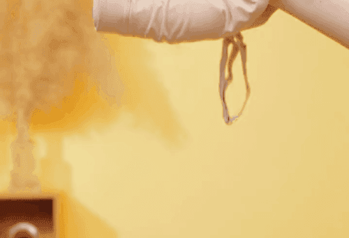 01.gif