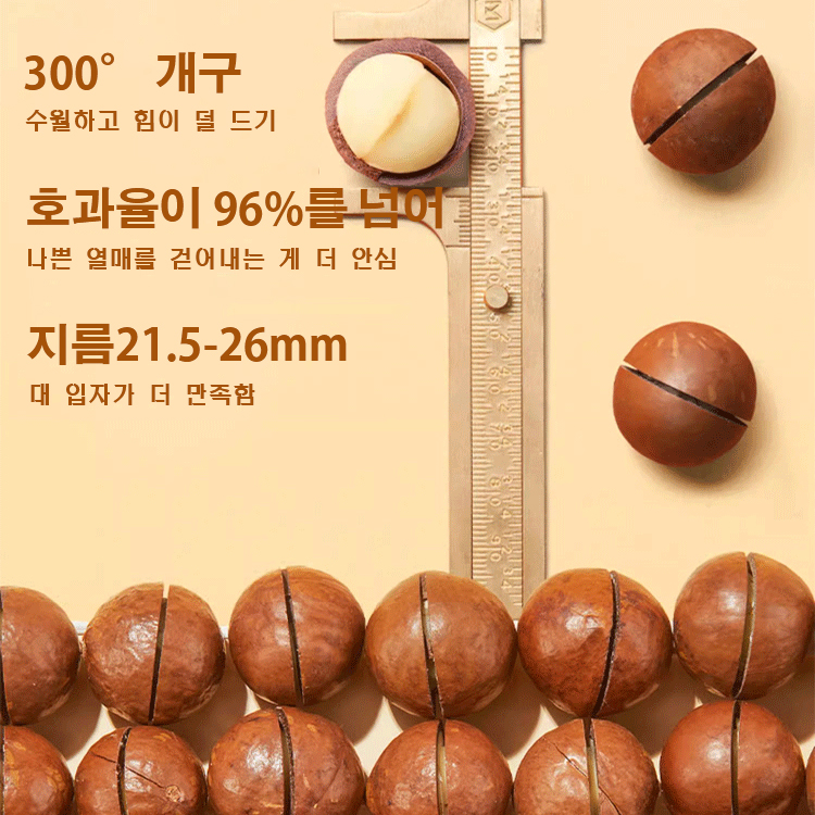  마카다미아 (우유향) 