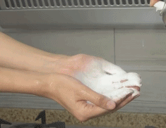 1556613247302543.gif 06.gif