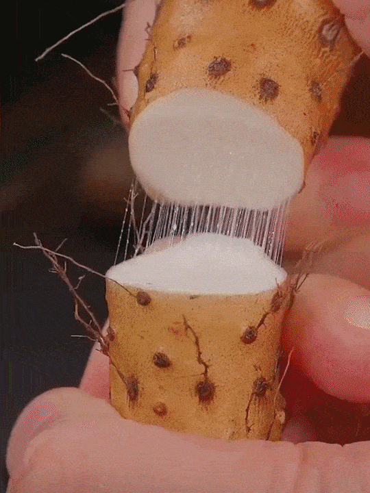 c1142abc-0eb2-4b83-b5c6-1d9c14991faf.gif