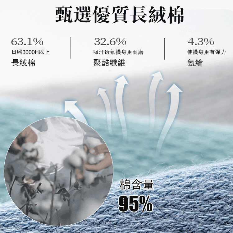 1764網眼薄款商務短筒船襪