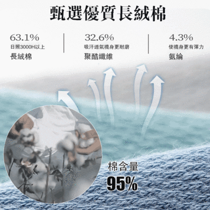 1764網眼薄款商務短筒船襪