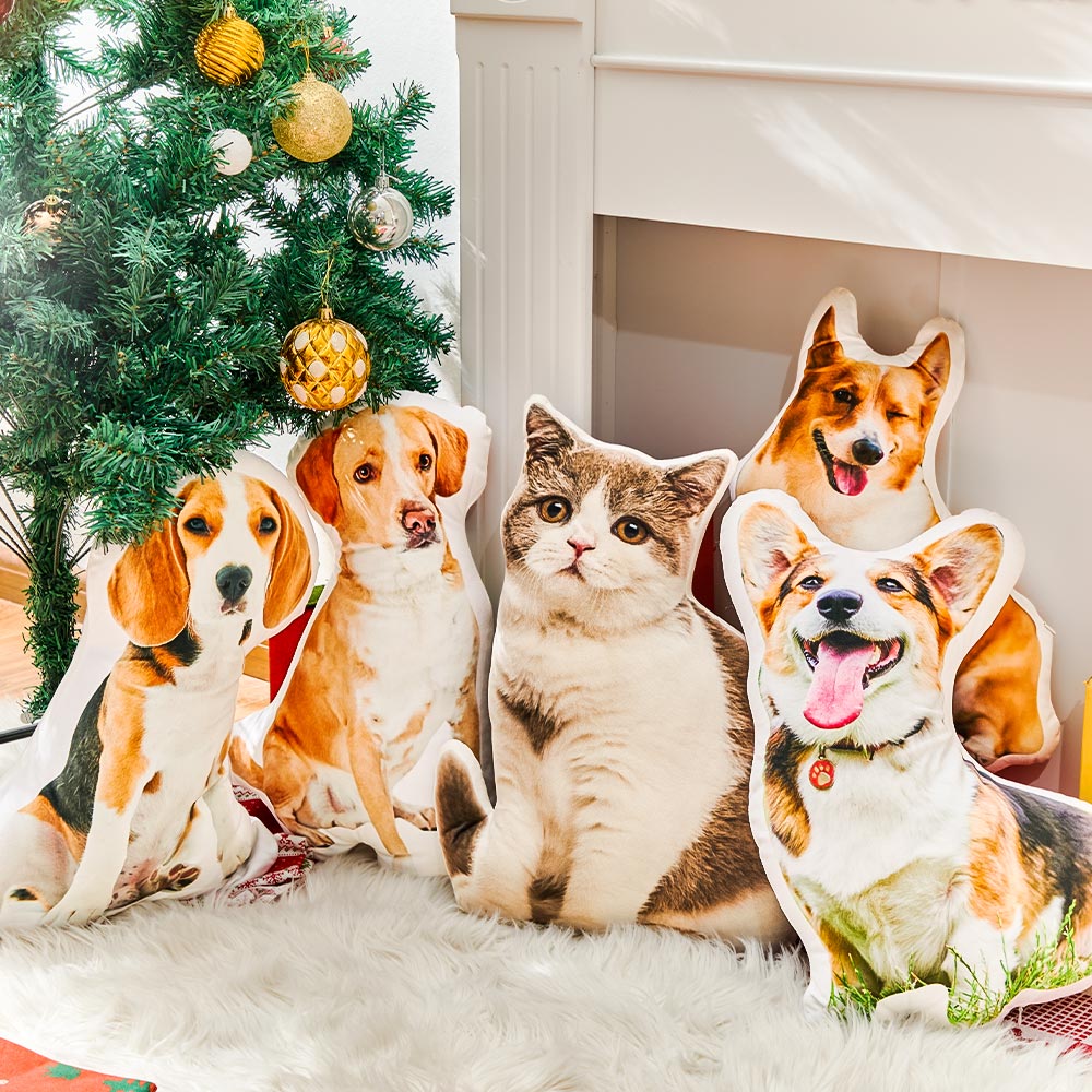 Oreiller photo personnalisé, Oreiller facial personnalisé, Oreillers personnalisés