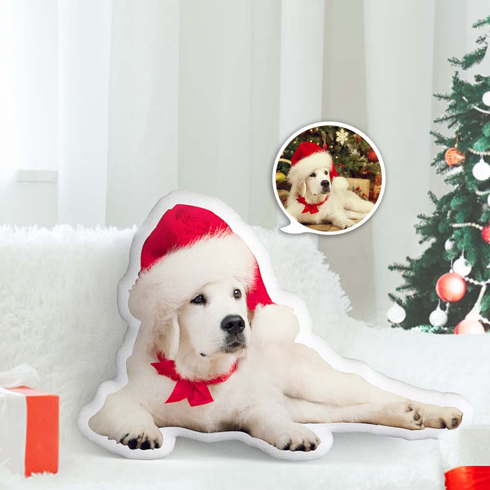 Oreiller photo personnalisé, Oreiller facial personnalisé, Oreillers personnalisés