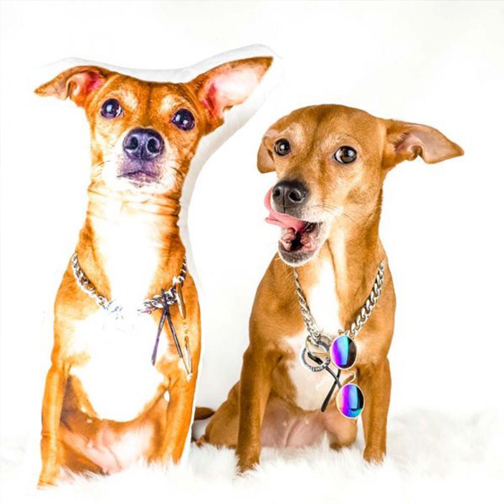 Oreiller photo personnalisé, Oreiller facial personnalisé, Oreillers personnalisés