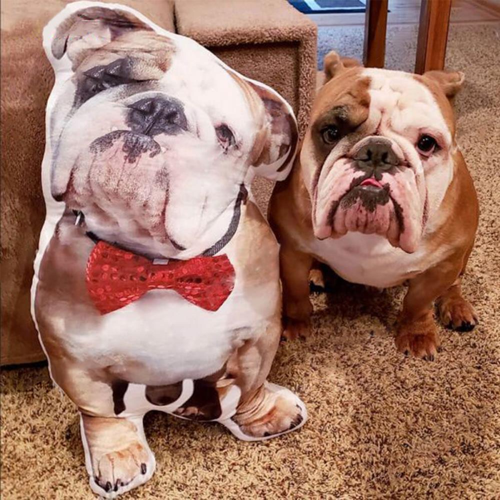 Oreiller photo personnalisé, Oreiller facial personnalisé, Oreillers personnalisés