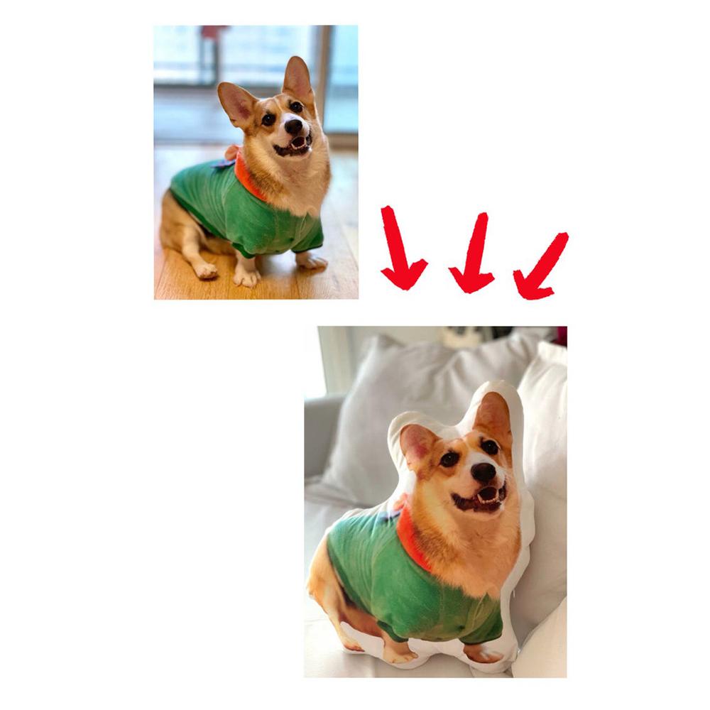 Oreiller photo personnalisé, Oreiller facial personnalisé, Oreillers personnalisés