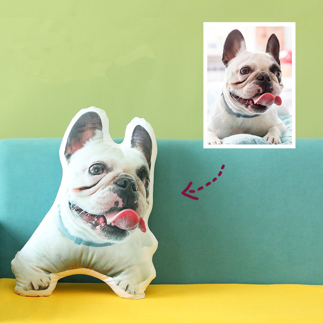 Oreiller photo personnalisé, Oreiller facial personnalisé, Oreillers personnalisés