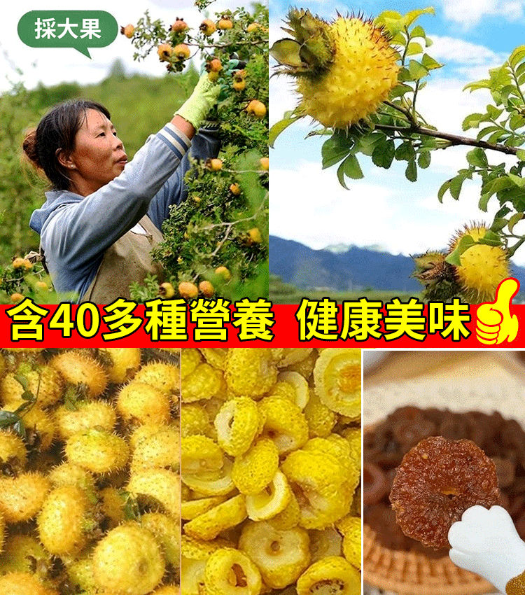 純手工刺梨乾