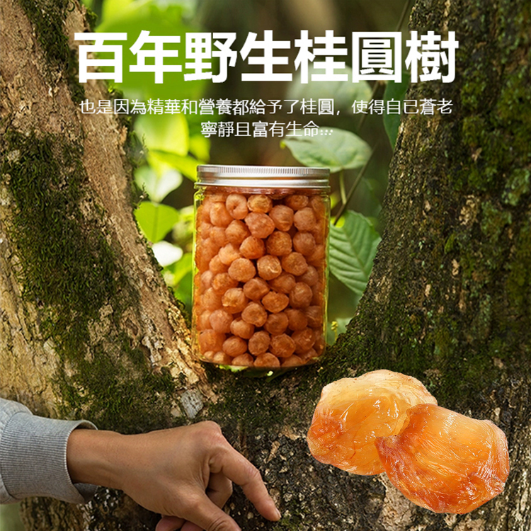 無核肉厚桂圓肉
