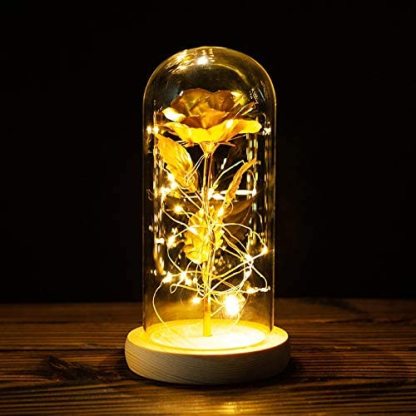 Personalised Eternal Glass Dome Rose Night Light Valentine's Day Gifts For Her-Jessemade AU
