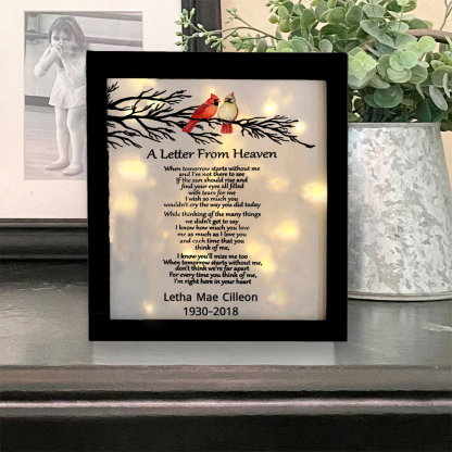 A Letter From Heaven Cardinals Memorial Frame Personalised Lighted Shadow Box-Jessemade AU