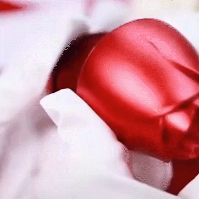 Valentine's Day Gifts 925 Sterling Silver Double Heart Dancing Necklace With Whole Rose Gift Box-Jessemade AU