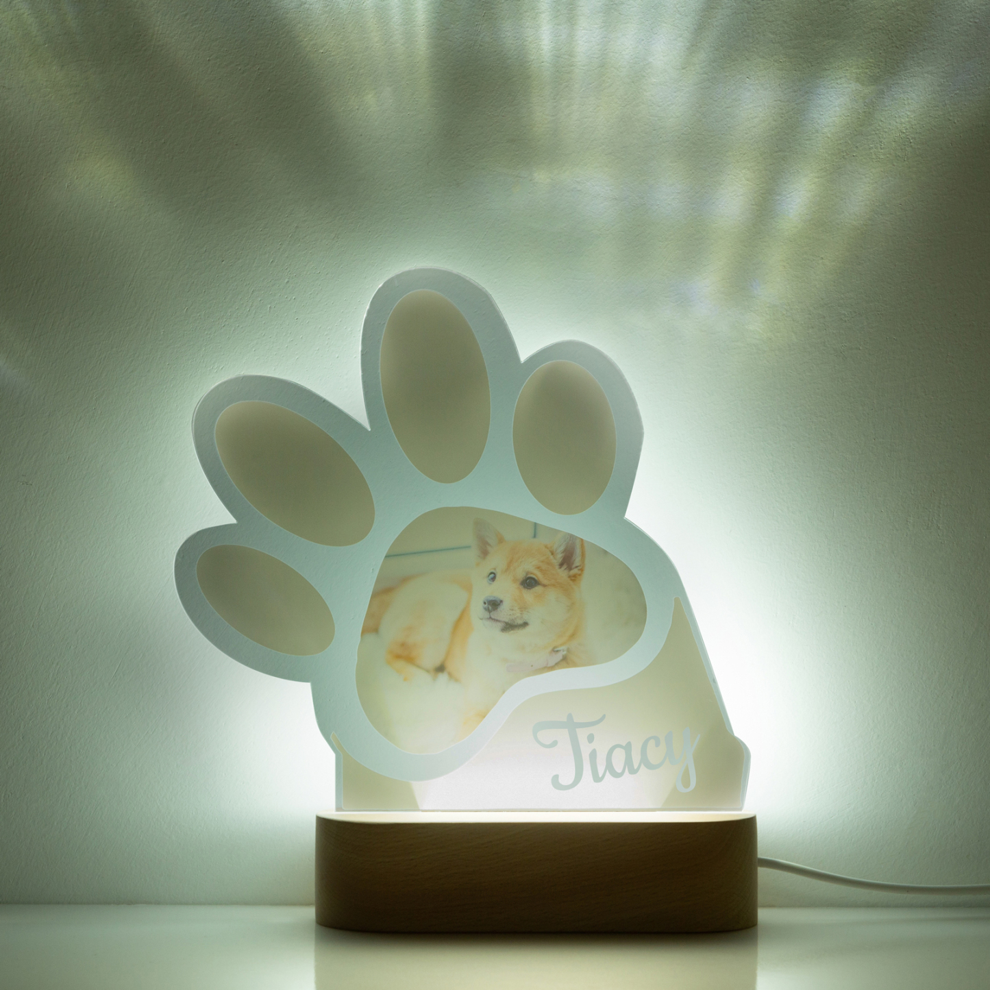Personalised Dog Footprints Home Decoration Lamp With Custom Name Night Light Kid's Bedroom Decor Children's LED Light-Jessemade AU