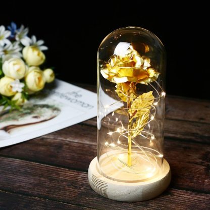 Personalised Eternal Glass Dome Rose Night Light Valentine's Day Gifts For Her-Jessemade AU