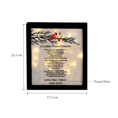 A Letter From Heaven Cardinals Memorial Frame Personalised Lighted Shadow Box-Jessemade AU