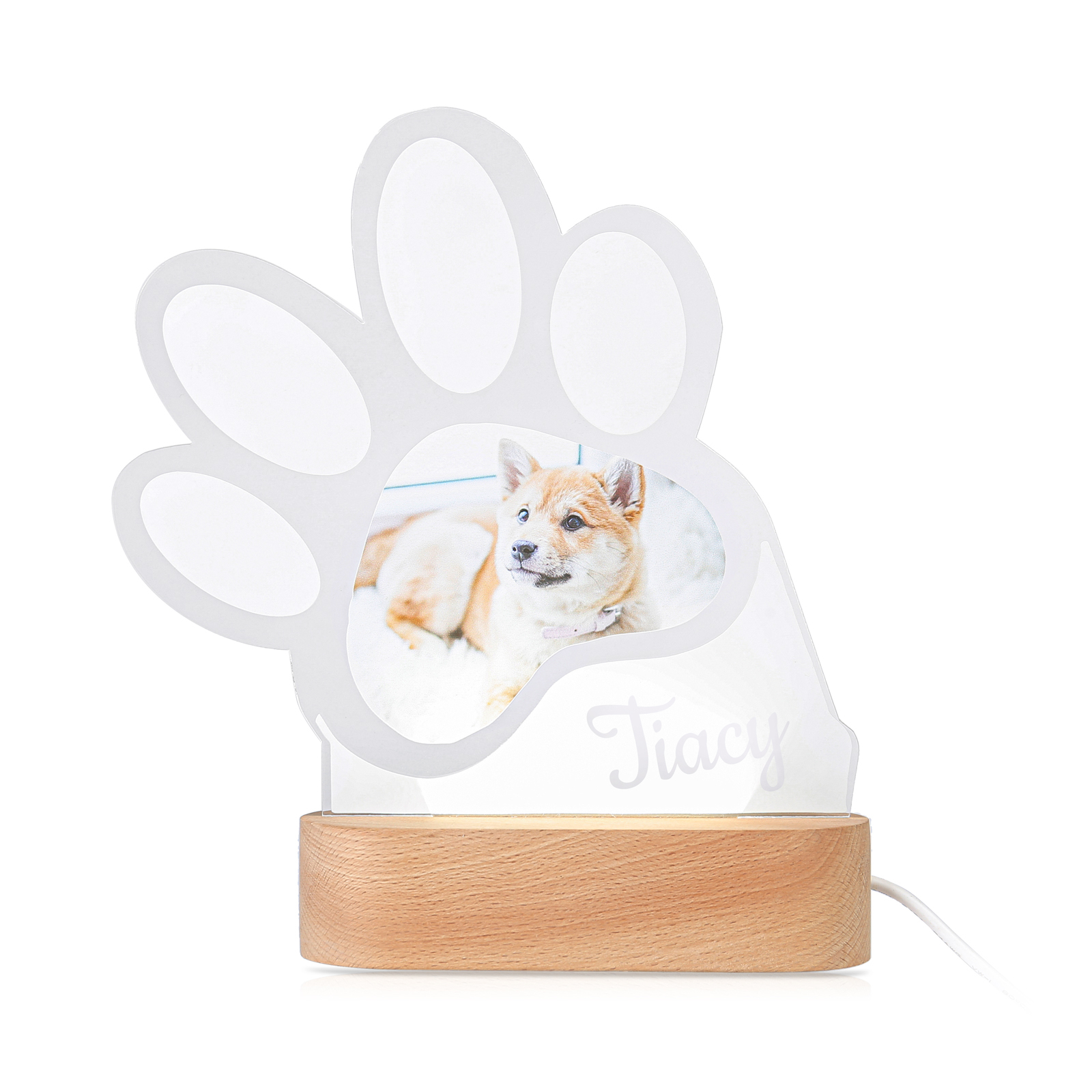 Personalised Dog Footprints Home Decoration Lamp With Custom Name Night Light Kid's Bedroom Decor Children's LED Light-Jessemade AU