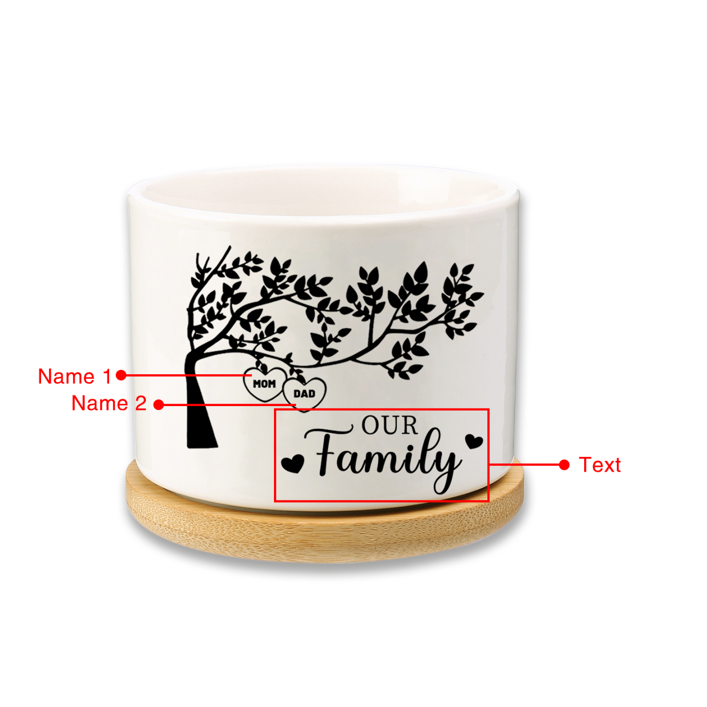 Personalised 2 Names & 1 Text Family Tree Flowerpot Custom Ceramic Flowerpot with Wooden Base Gift for Mother/Grandma-Jessemade AU