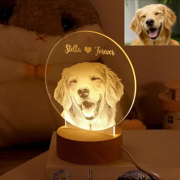 Personalised Photo Night Light LED Lamp for Family-Jessemade AU
