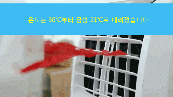 12.gif