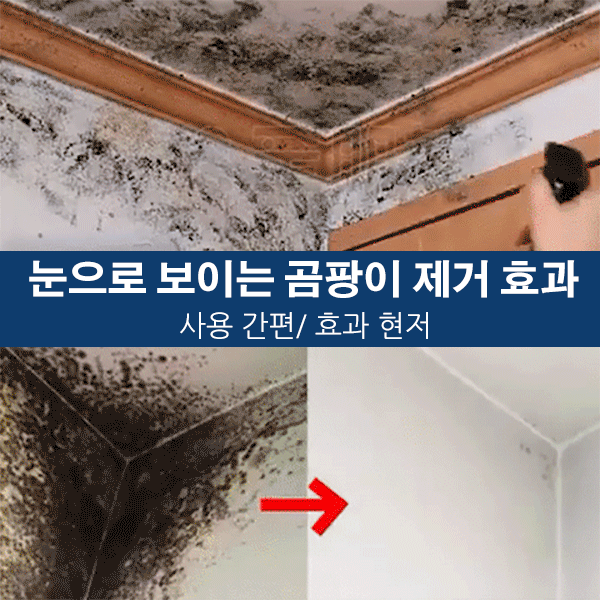 버블 클리너 곰팡이제거 스프레이
