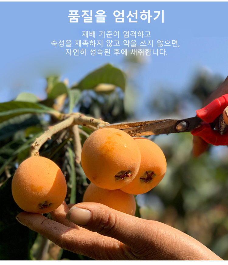 韩语_11.jpg
