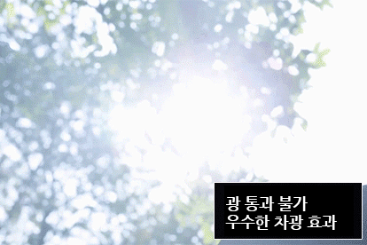 751_02.gif