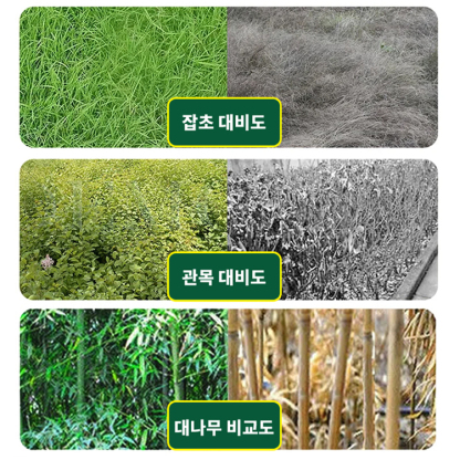 큰 나무 대나무 제초제