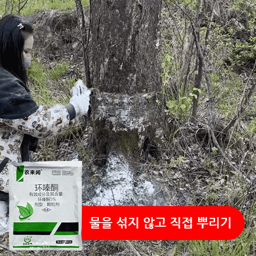 큰 나무 대나무 제초제