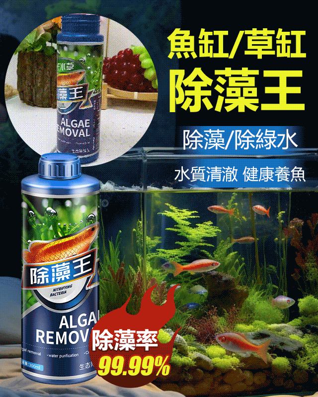 【除藻王】瘋狂水草除藻劑