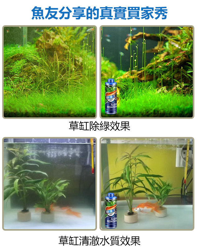 【除藻王】瘋狂水草除藻劑