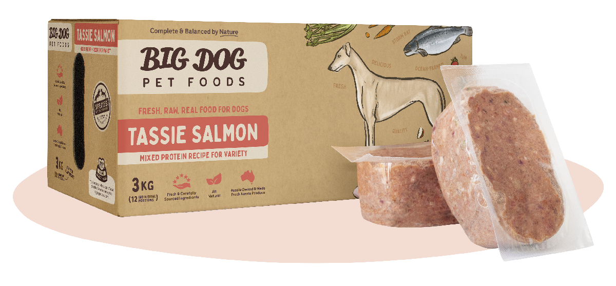 BIG DOG Tasmanian Salmon Raw Dog Food-Peti