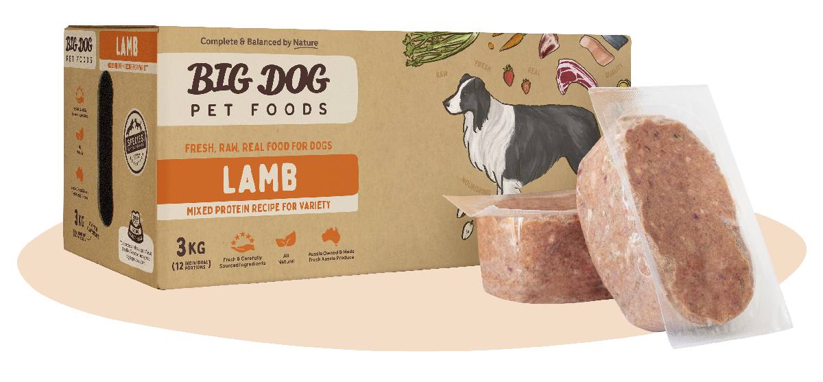 BIG DOG Lamb Raw Dog Food-Peti