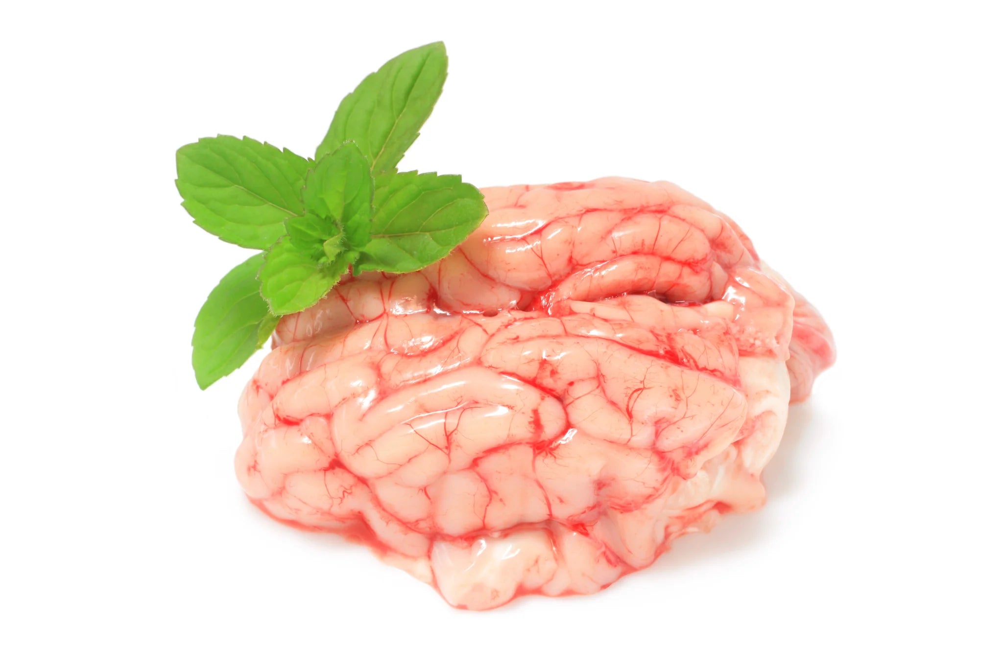 Lamb Brains Human Grade Frozen-Peti