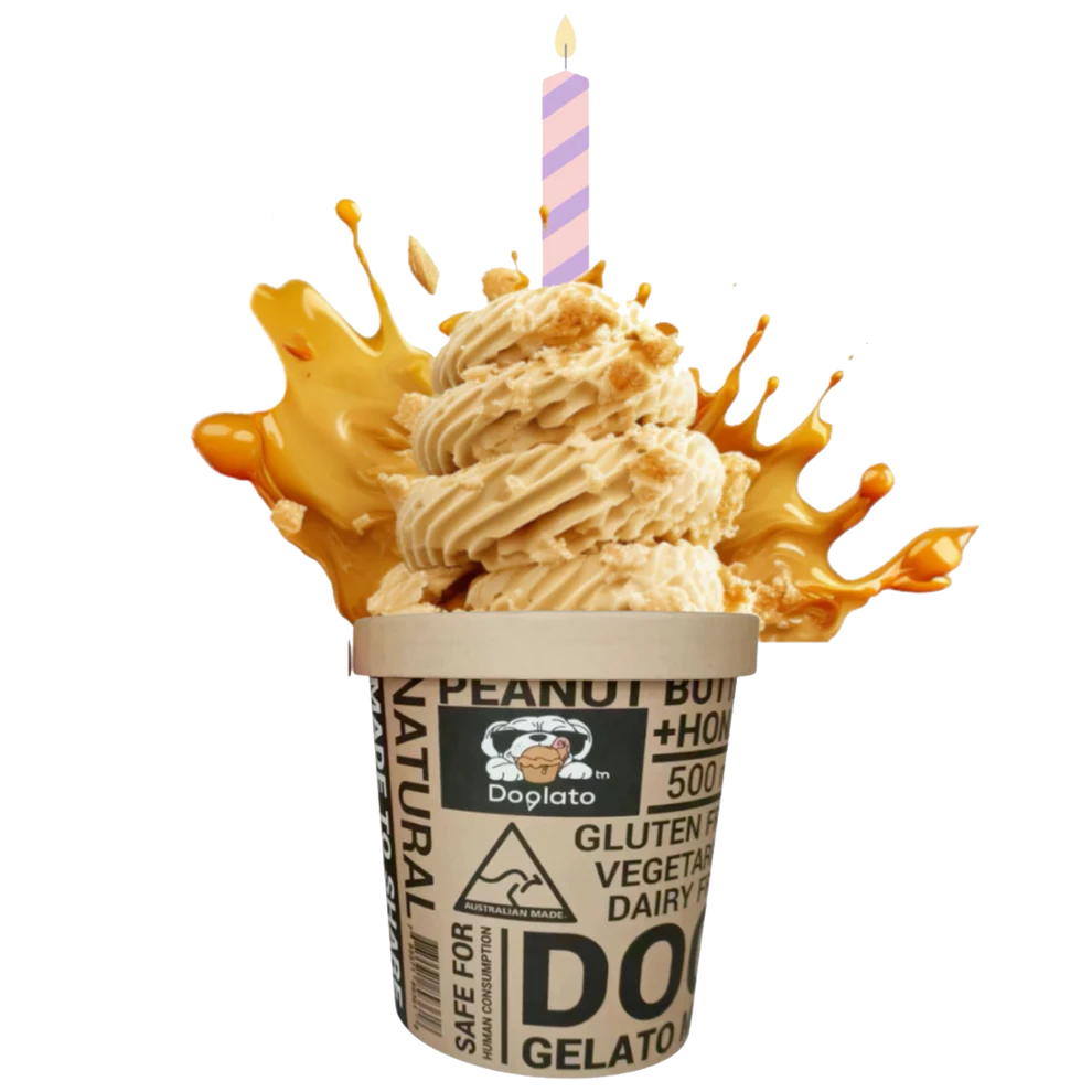 Doglato Birthdaycake Mix Peanutbutter&Honey 500g-Peti