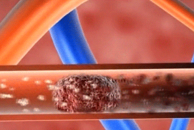 b191bcda782984482c2ea2637dae2e4d.gif