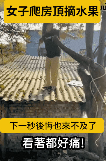 1-(1).gif