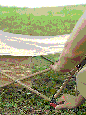 4.gif