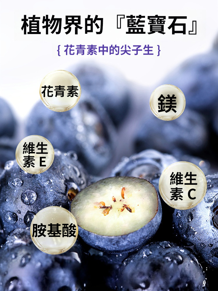 天然大果野生藍莓乾，滿滿花青素，多重維生素，無糖0添加